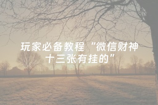 玩家必备教程“微信财神十三张有挂的”（必赢神器免费安装)