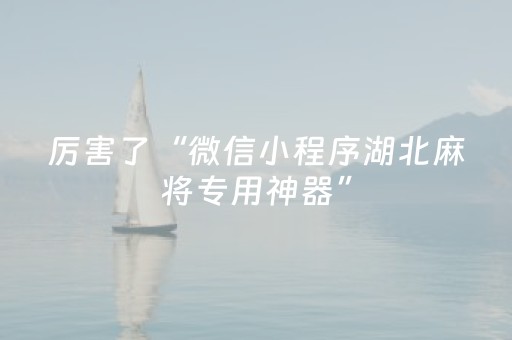 厉害了“微信小程序湖北麻将专用神器”（神器最新免费)