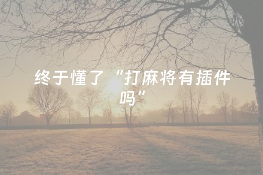 终于懂了“打麻将有插件吗”（开挂辅助器脚本)