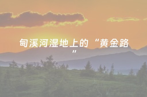 鹤壁市淇滨区：淇河欢乐沙滩添新趣