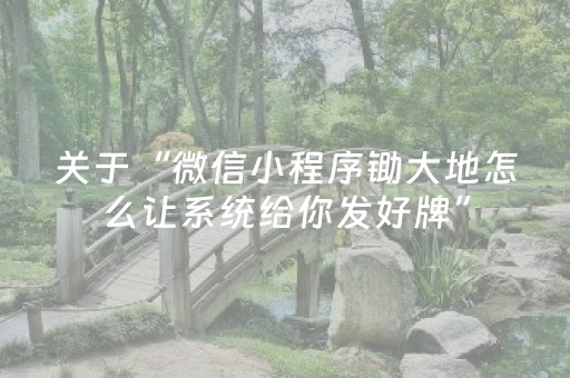 关于“微信小程序锄大地怎么让系统给你发好牌”（插件可信吗)