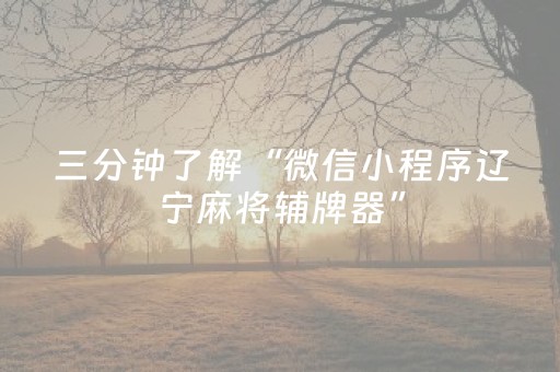 三分钟了解“微信小程序辽宁麻将辅牌器”（透明器教程)