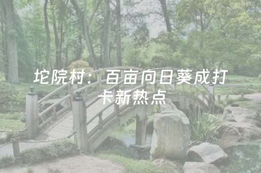 “发烧友”畅骑环襄湖健身绿道