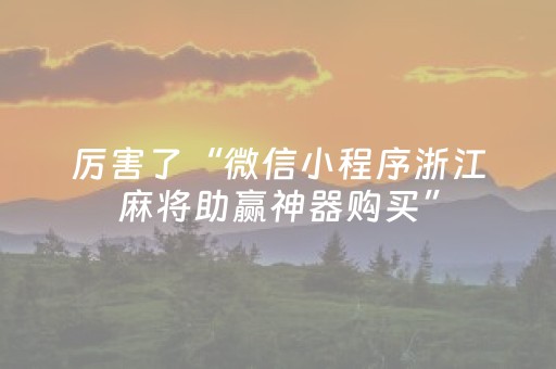 厉害了“微信小程序浙江麻将助赢神器购买”（助攻神器)