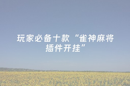 玩家必备十款“雀神麻将插件开挂”（控牌器)