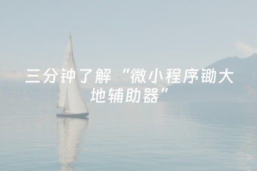 三分钟了解“微小程序锄大地辅助器”（免费辅助)