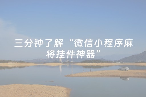 三分钟了解“微信小程序麻将挂件神器”（怎么控制输赢)