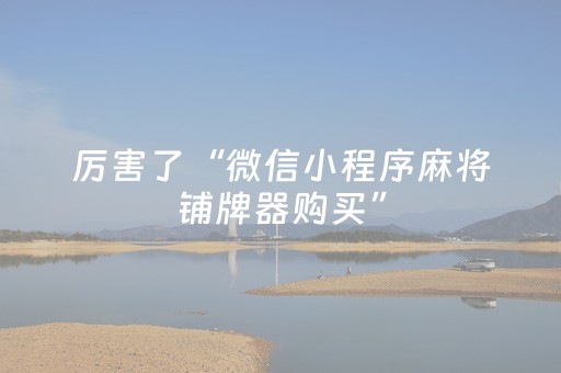 厉害了“微信小程序麻将铺牌器购买”（免费辅助)