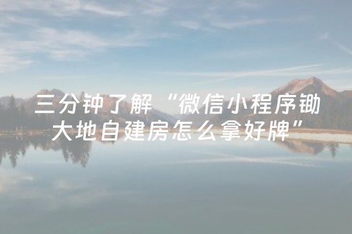 三分钟了解“微信小程序锄大地自建房怎么拿好牌”（辅助神器免费)