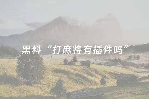 黑料“打麻将有插件吗”（胜率到哪调)