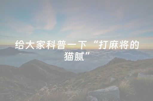 给大家科普一下“打麻将的猫腻”（专用神器下载)