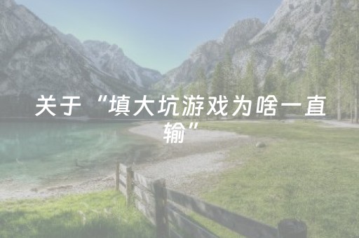 关于“填大坑游戏为啥一直输”（辅助挂发牌规律)