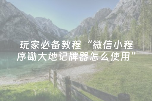 玩家必备教程“微信小程序锄大地记牌器怎么使用”（神器最新免费)