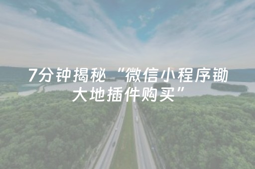 7分钟揭秘“微信小程序锄大地插件购买”（会员会提高胜率吗)
