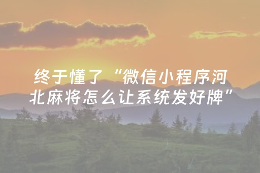 终于懂了“微信小程序河北麻将怎么让系统发好牌”（外辅工具)