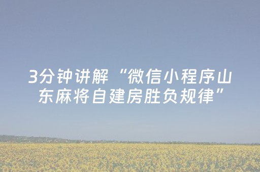 3分钟讲解“微信小程序山东麻将自建房胜负规律”（助赢神器)