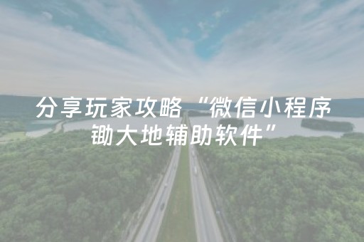 分享玩家攻略“微信小程序锄大地辅助软件”（通用挂软件多少钱)