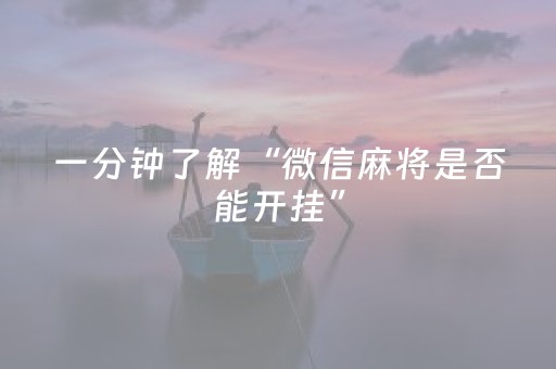 一分钟了解“微信麻将是否能开挂”（辅助器插件)