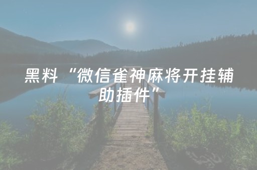黑料“微信雀神麻将开挂辅助插件”（助攻神器)