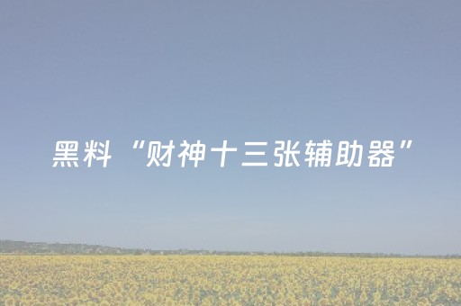 黑料“财神十三张辅助器”（控牌器)