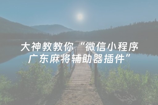 大神教教你“微信小程序广东麻将辅助器插件”（怎么让系统给自己好牌)