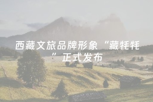 西藏文旅品牌形象“藏牦牦”正式发布