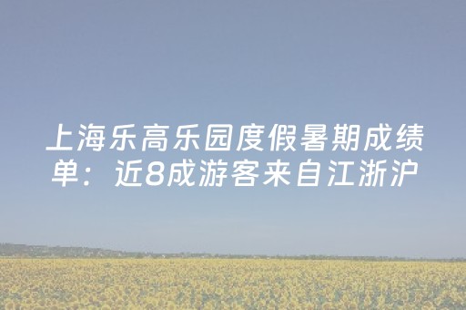 上海乐高乐园度假暑期成绩单：近8成游客来自江浙沪