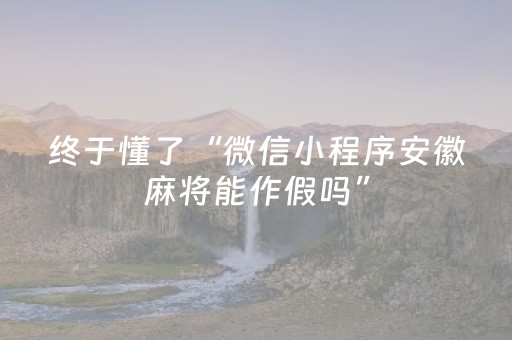 终于懂了“微信小程序安徽麻将能作假吗”（插件可信吗)