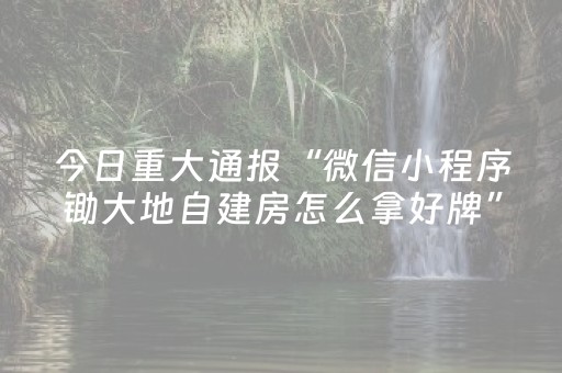 今日重大通报“微信小程序锄大地自建房怎么拿好牌”（辅助器插件)