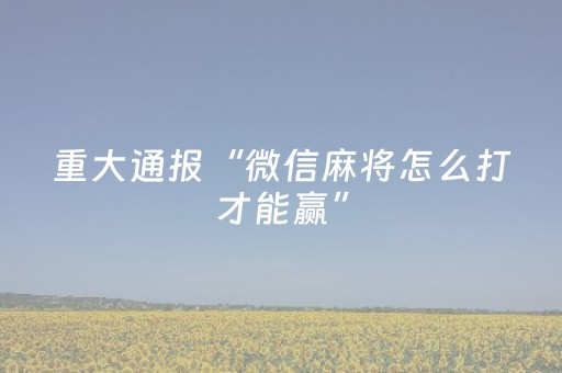 重大通报“微信麻将怎么打才能赢”（做弊器软件下载)