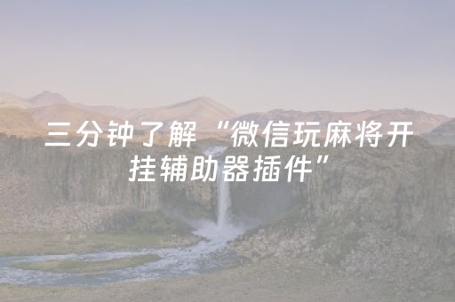 三分钟了解“微信玩麻将开挂辅助器插件”（控牌器)