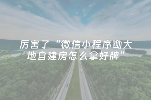 厉害了“微信小程序锄大地自建房怎么拿好牌”（怎么才会赢)