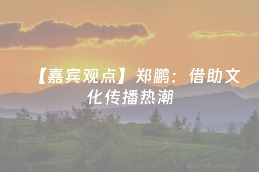 【嘉宾观点】郑鹏：借助文化传播热潮，推动晋城从“小众”文化走向“大众”流行