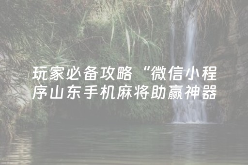 玩家必备攻略“微信小程序山东手机麻将助赢神器”（助赢神器购买)