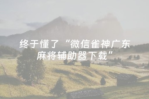 终于懂了“微信雀神广东麻将辅助器下载”（输赢规律)