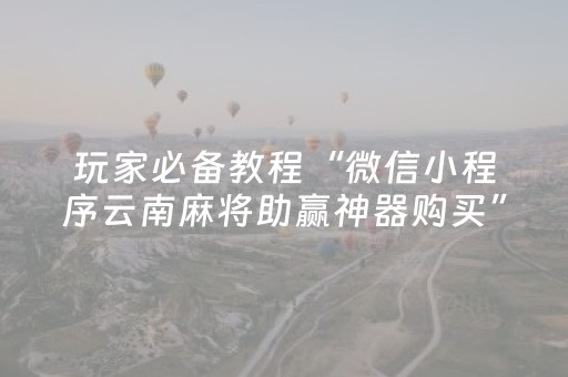 玩家必备教程“微信小程序云南麻将助赢神器购买”（外辅工具)