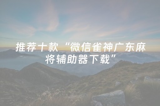 推荐十款“微信雀神广东麻将辅助器下载”（挂件神器)