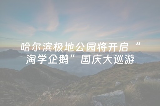 哈尔滨极地公园将开启“淘学企鹅”国庆大巡游