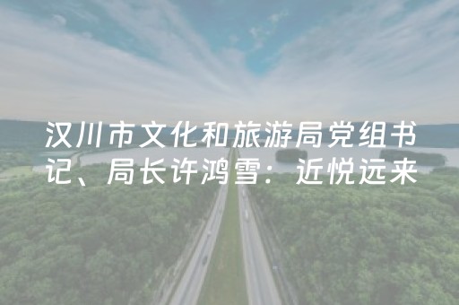 汉川市文化和旅游局党组书记、局长许鸿雪：近悦远来 主客共享 造水乡名城