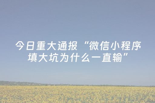 今日重大通报“微信小程序填大坑为什么一直输”（免费专用神器)