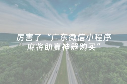 厉害了“广东微信小程序麻将助赢神器购买”（必赢神器)