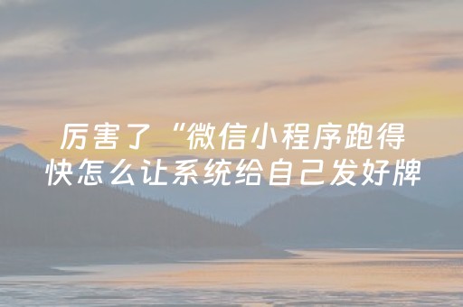 厉害了“微信小程序跑得快怎么让系统给自己发好牌”（插件可信吗)