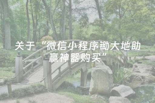 关于“微信小程序锄大地助赢神器购买”（控牌神器)
