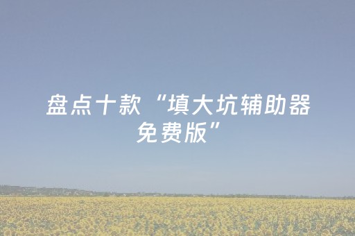 盘点十款“填大坑辅助器免费版”（外辅工具)