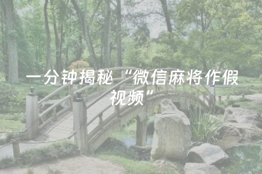 一分钟揭秘“微信麻将作假视频”（专用神器)