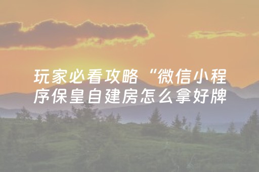 玩家必看攻略“微信小程序保皇自建房怎么拿好牌”（软件出售)