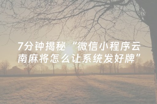 7分钟揭秘“微信小程序云南麻将怎么让系统发好牌”（万能开挂器)