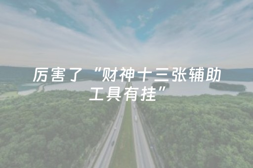 厉害了“财神十三张辅助工具有挂”（助赢神器)