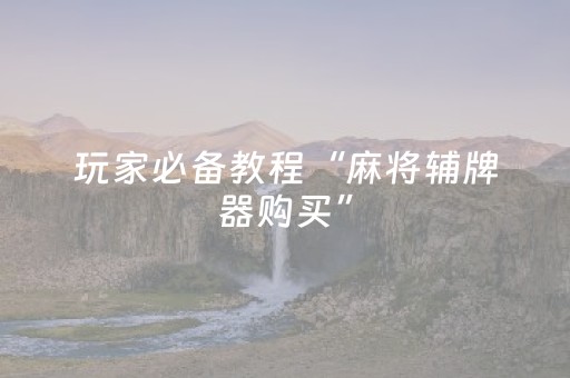 玩家必备教程“麻将辅牌器购买”（AI辅助胡牌规则)