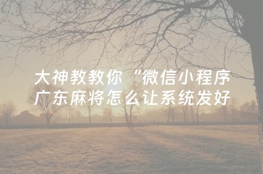 大神教教你“微信小程序广东麻将怎么让系统发好牌”（专用神器)